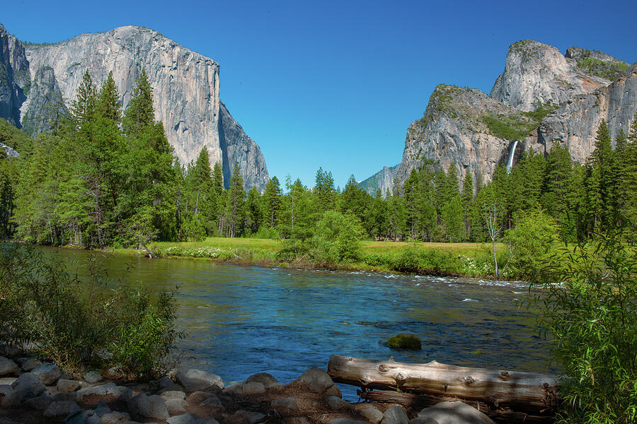 El Capitan, Cathedral Rocks, Bridalveil Falls, Merced River View, Yosemite National Park, Yosemite Photograph by Bonnie Colgan