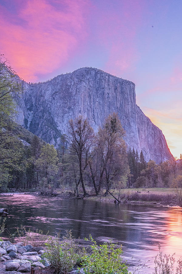El Capitan In the Pink Photograph by Bill Roberts