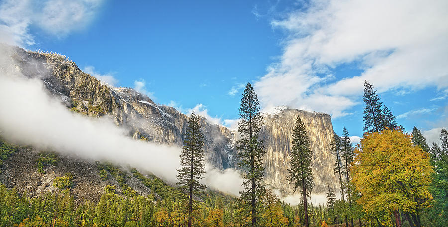 El Capitan Is A 3000-foot, 914 Meters, Granite Monolith. Yosemite National Park, California Photograph by Bijan Pirnia