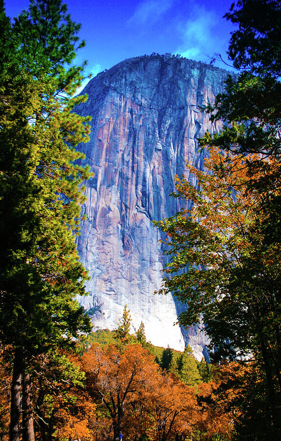 El Capitan  Photograph by Mary Gaines