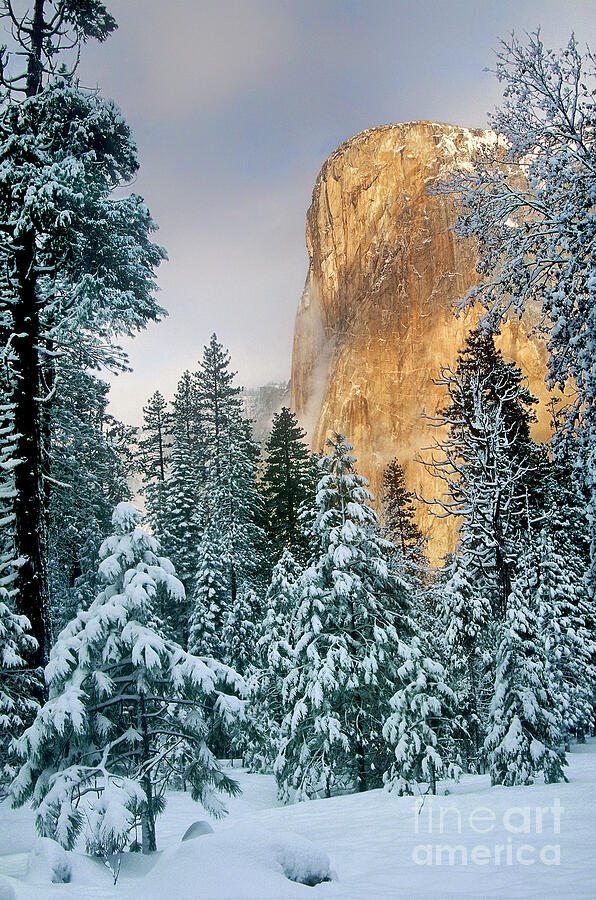 El Capitan on a Winter Morning Yosemite National Park California Photograph by Dave Welling