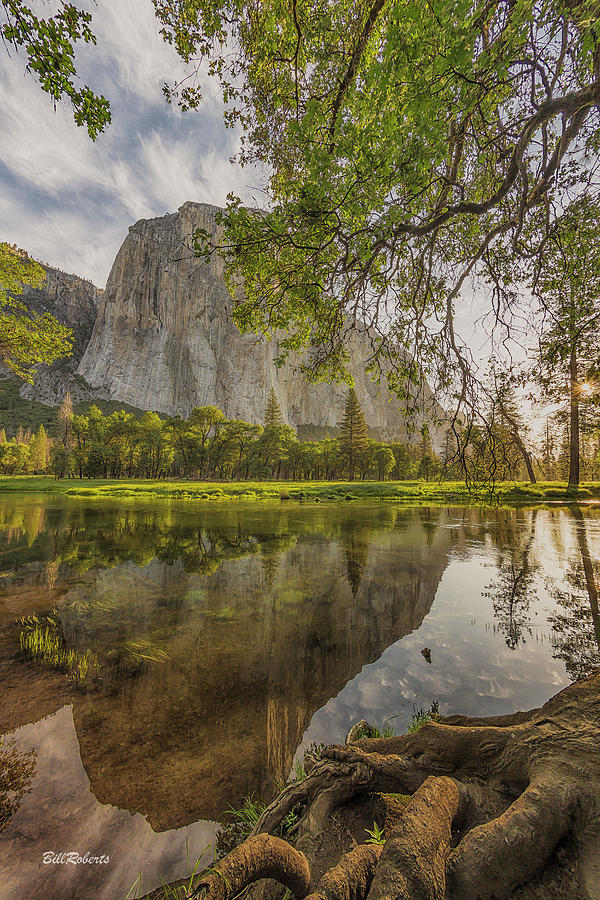 El Capitan, Once Upon A Time Photograph by Bill Roberts