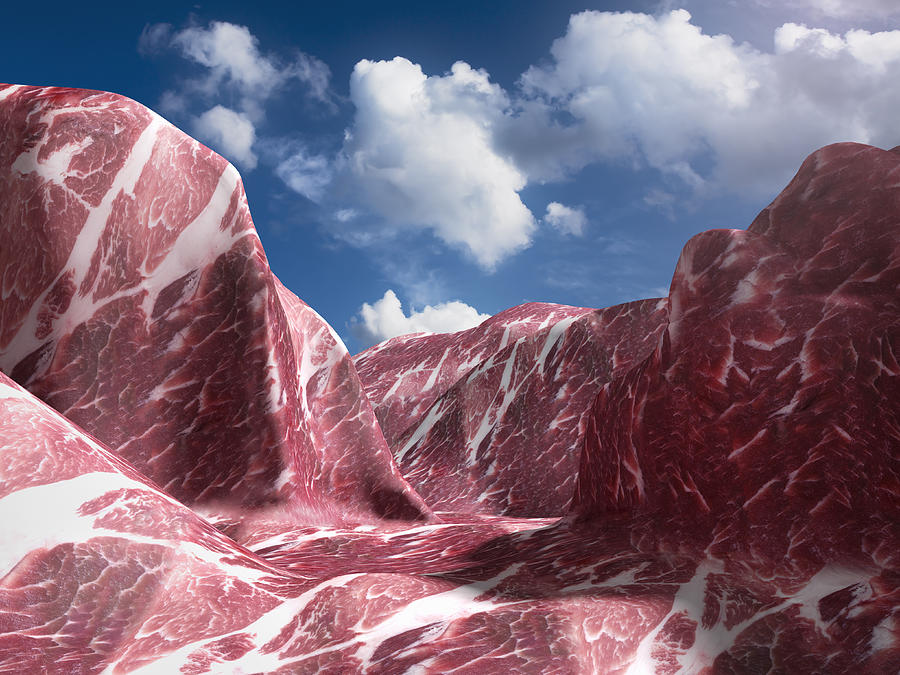 EL Capitan that made of meat. (Pork) Photograph by Hiroshi Watanabe