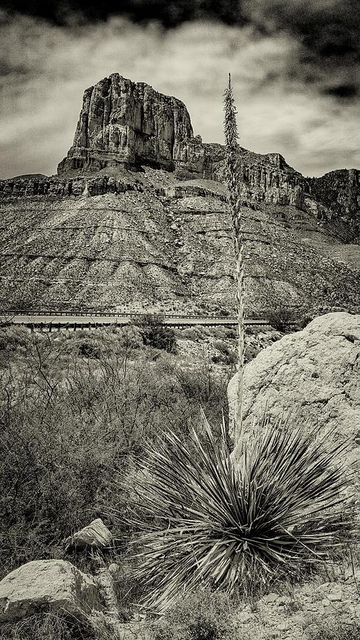 El Capitan View - Guadalupe Mountains National Park Photograph by Stephen Stookey