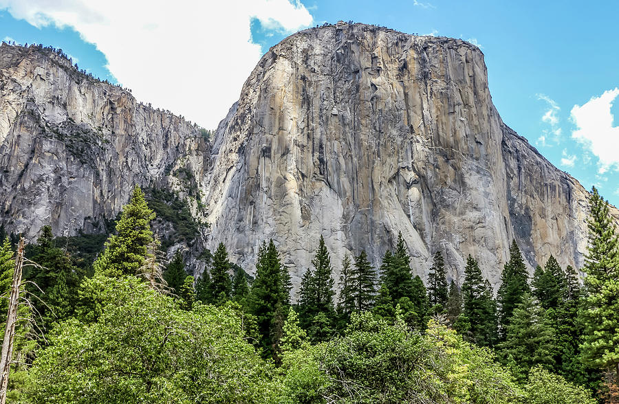 El Capitan, Yosemite Photograph by Dawn Richards