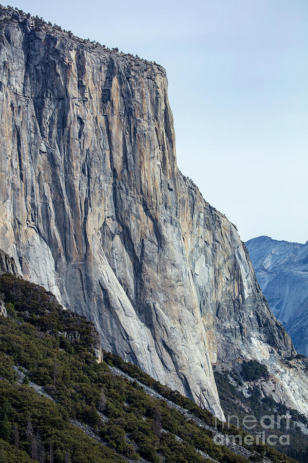 El Capitan Yosemite National Park Photograph