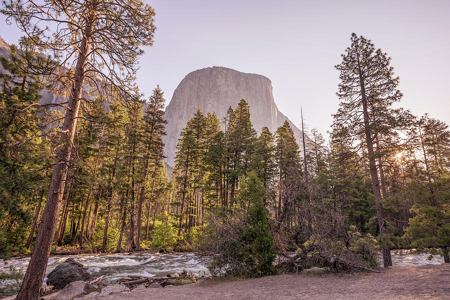 El Capitan Yosemite Valley Morning Glow Photograph by Joseph S Giacalone
