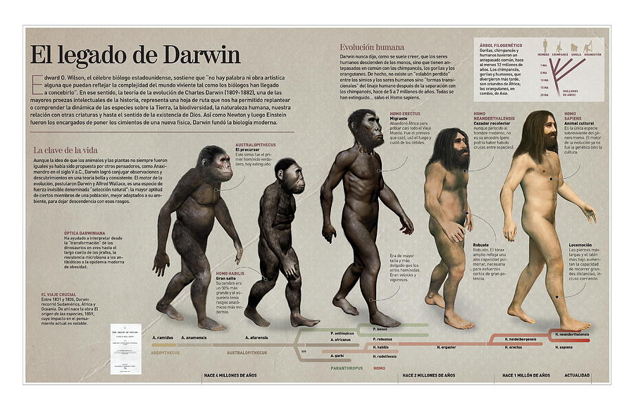 El legado de Darwin Digital Art by Album
