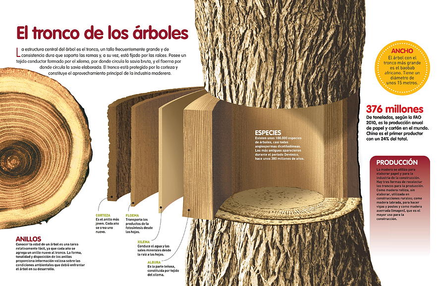 Botanica Digital Art - El tronco de los arboles by Album
