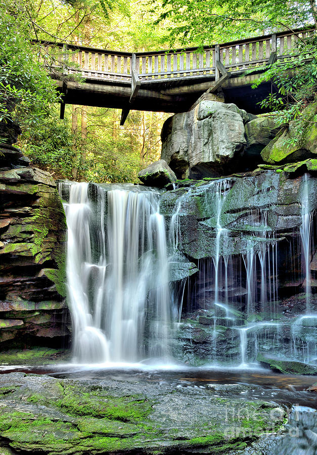 Elakala Falls, West Virginia - Black Water Falls State Park Photograph by Brendan Reals