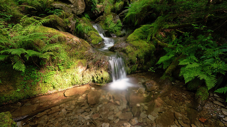 Elan Valley stream Photograph by Mark Foster - Pixels