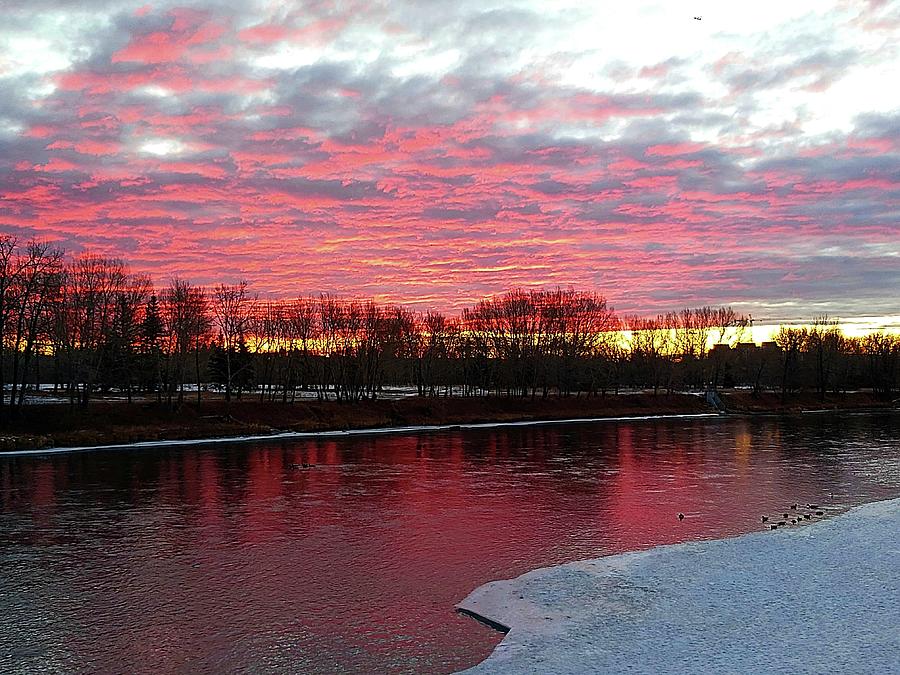Elbow River Sunrise Photograph by Gerry Bates