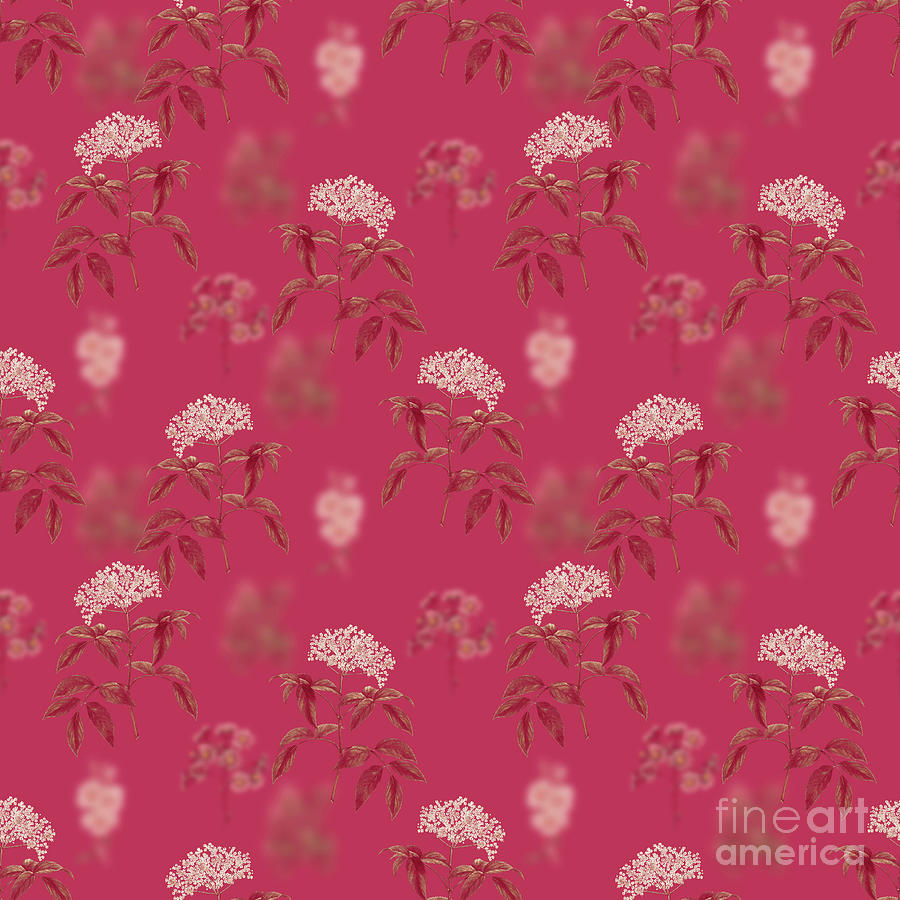 Elderberry Flowering Plant Botanical Seamless Pattern In Viva Magenta N.0934 Mixed Media