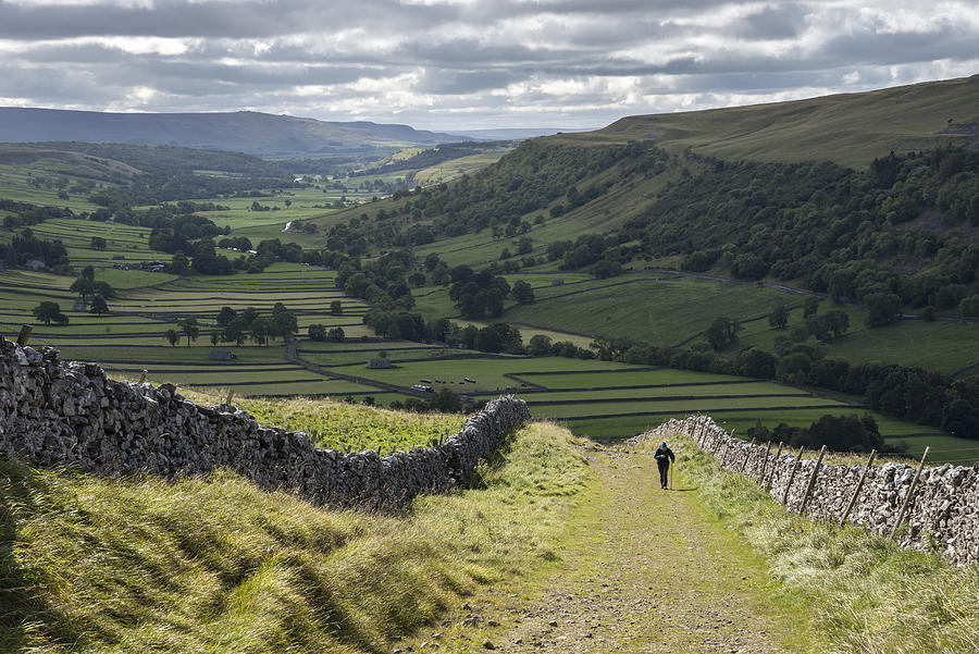 Elderly man hiking in the Yorkshire Dales national park, England Photograph by Photos by R A Kearton