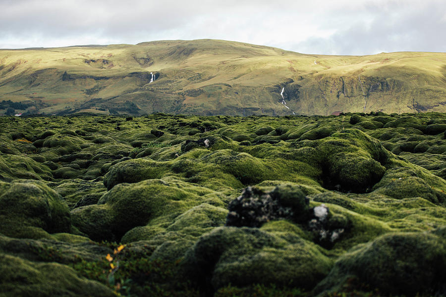 Eldhraun Lava Field Photograph by Kate Cote - Fine Art America