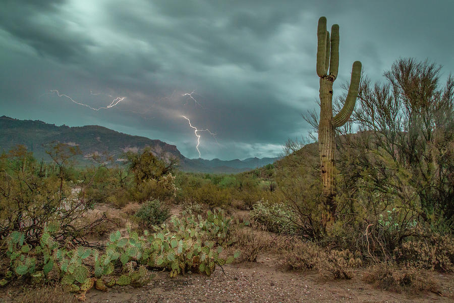 Electric Arizona Photograph by Jen Manganello