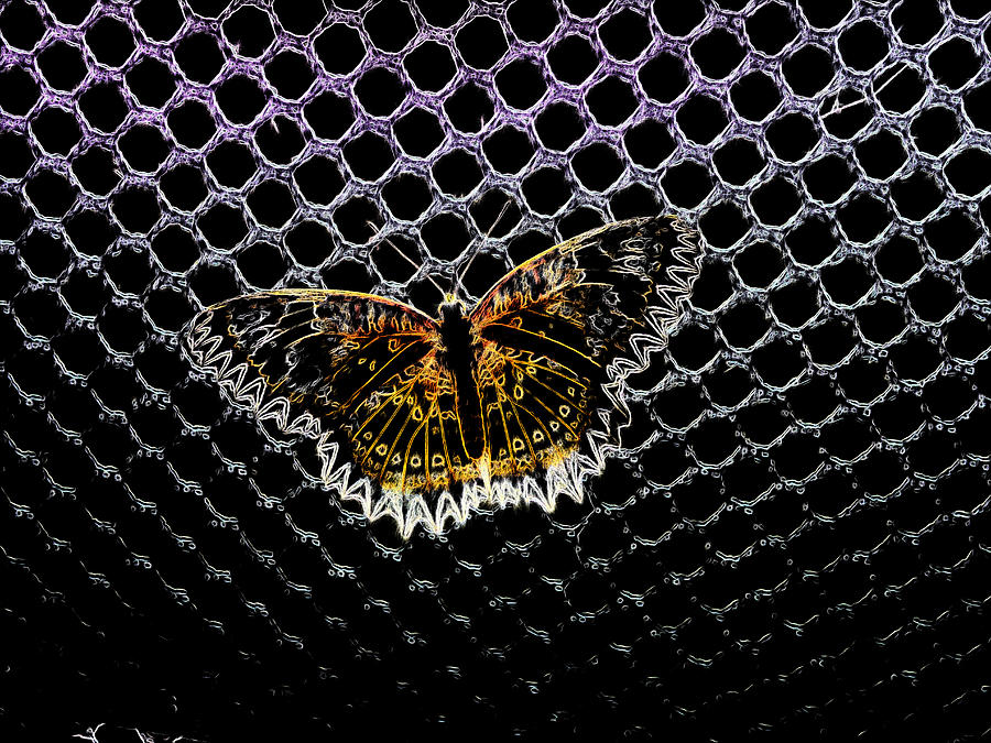 Electric Butterfly Digital Art by Richard Reeve