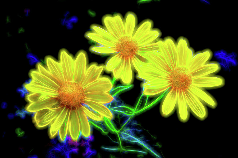 Electric Daisies Photograph by Jerry Griffin