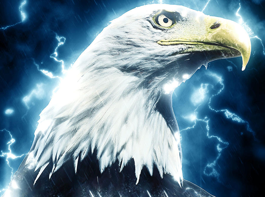 Electric Eagle Digital Art by James Yoke | Fine Art America