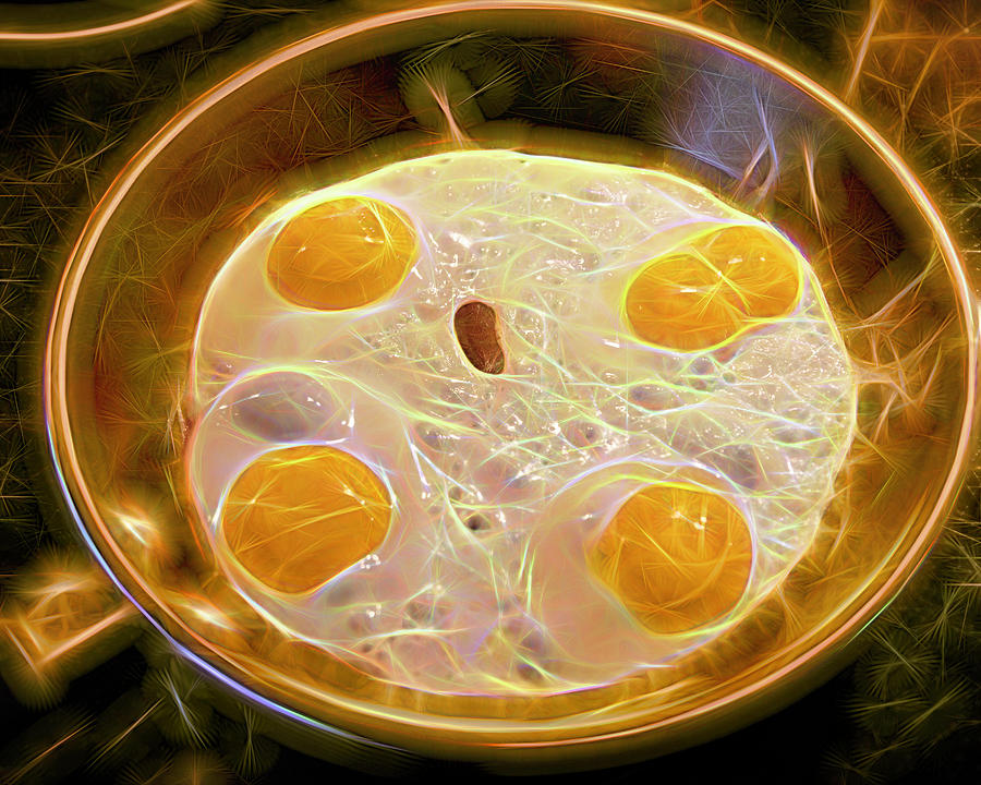 Electric Eggs Photograph by Lorraine Baum