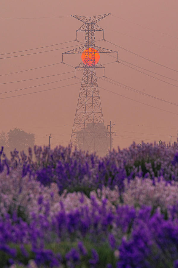 Electric Haze Photograph by Ryan Heffron