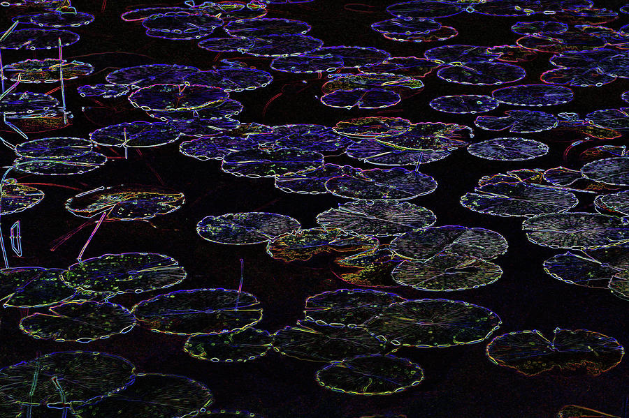 Electric Light Lily Pad Photograph by Gina Fitzhugh