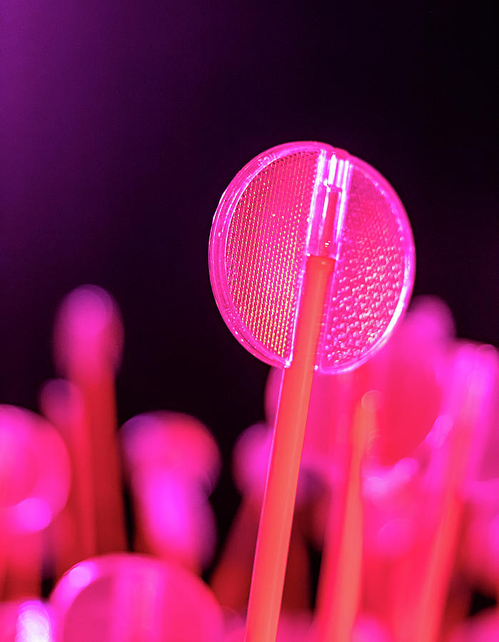 Electric Lollipop  Photograph by Rick Nelson