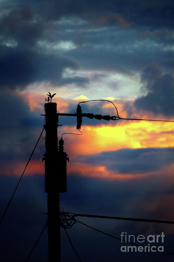 Electric Sky Photograph by Ellen Cotton
