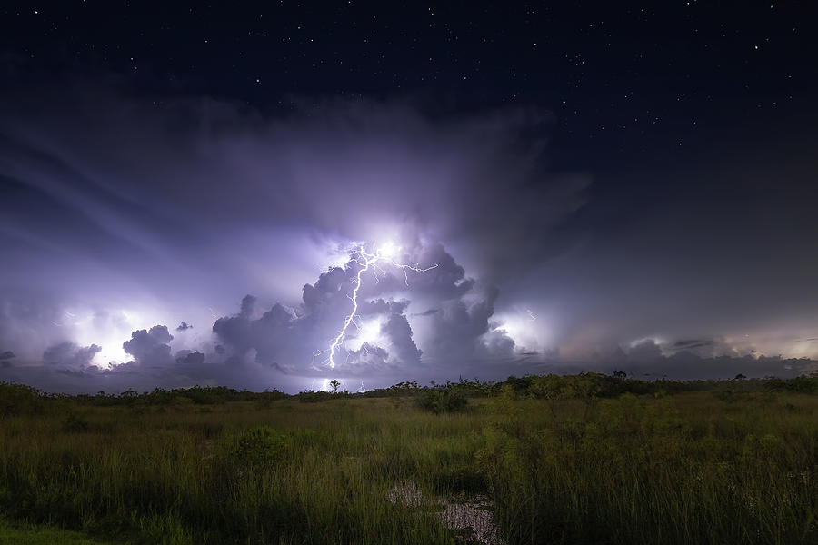 Electrical Storms in Everglades National Park Photograph by Mark Andrew Thomas