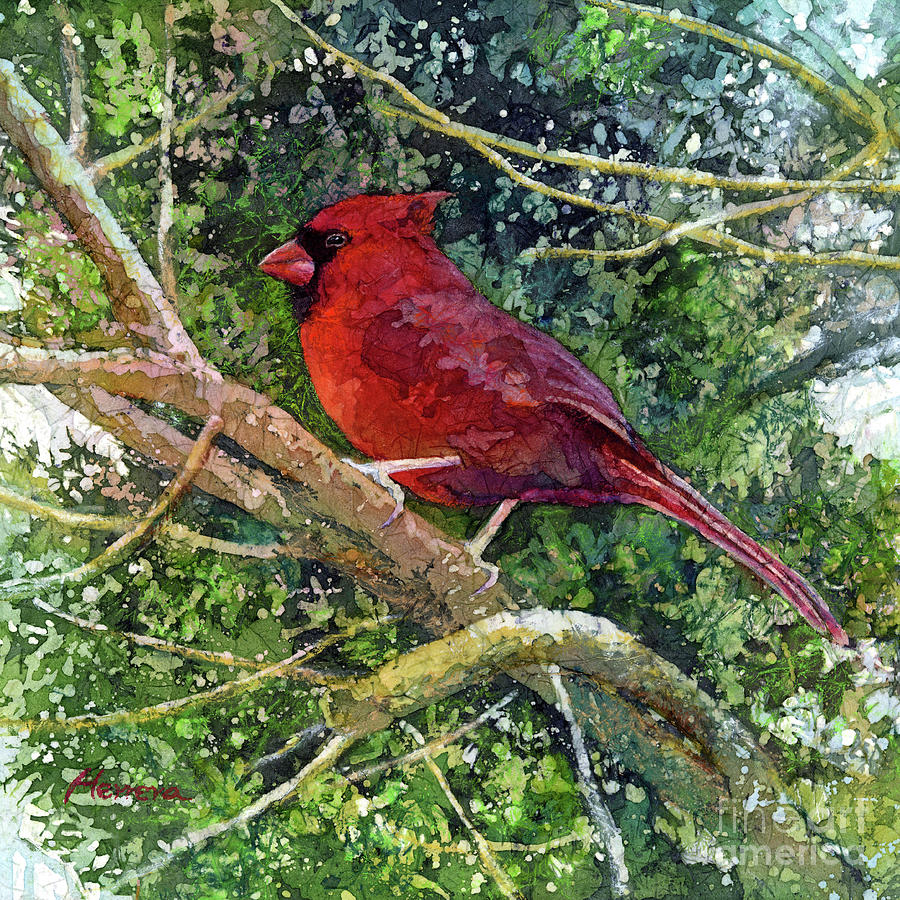 Cardinal Painting - Elegance in Red - Cardianl by Hailey E Herrera