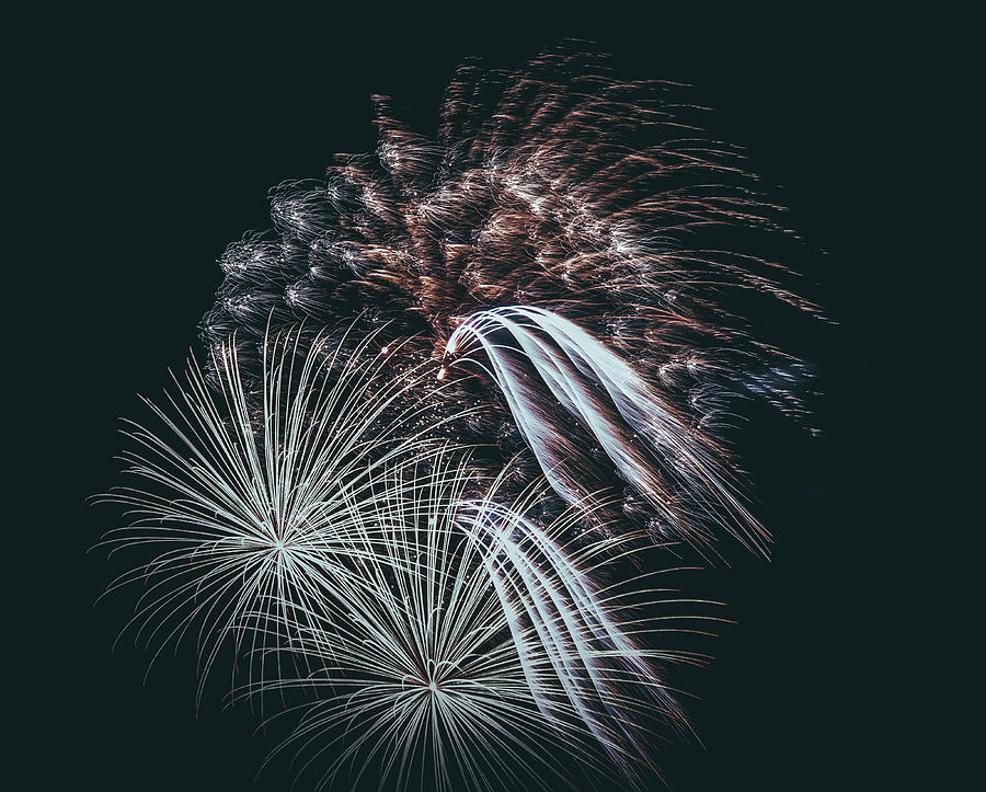 Elegance with Fireworks Photograph by Marnie Patchett