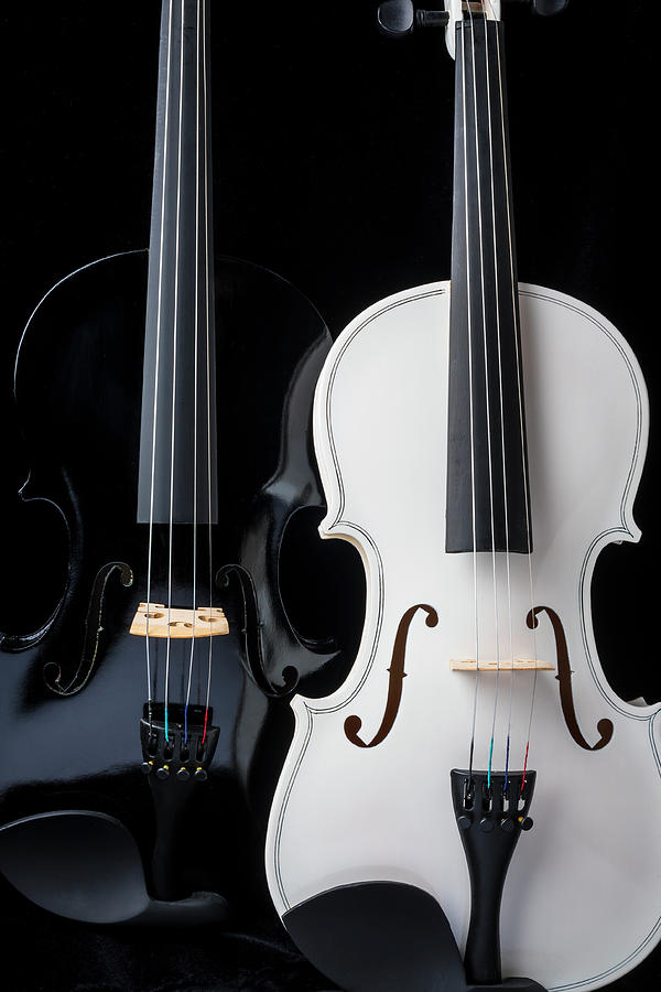 Elegant Black And White Violins Photograph by Garry Gay