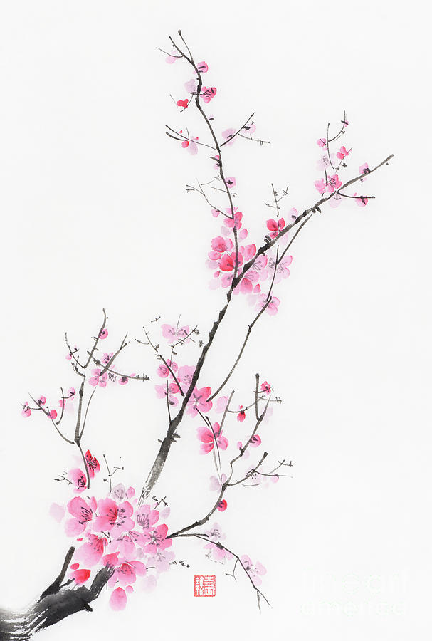 Elegant Branch Of Cherry Blossom With Pink Flowers On White Orie 