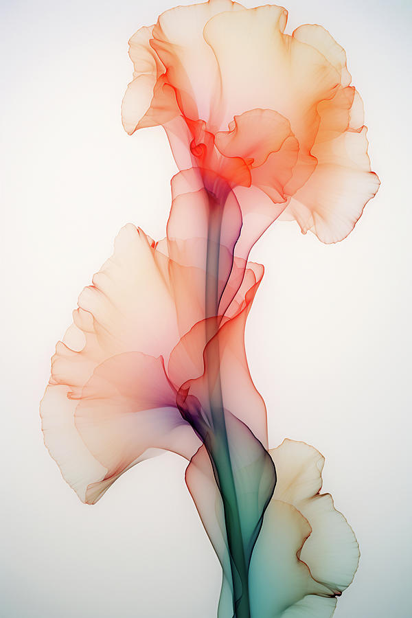 Elegant Gladiolus Flowers Digital Art by Peggy Collins