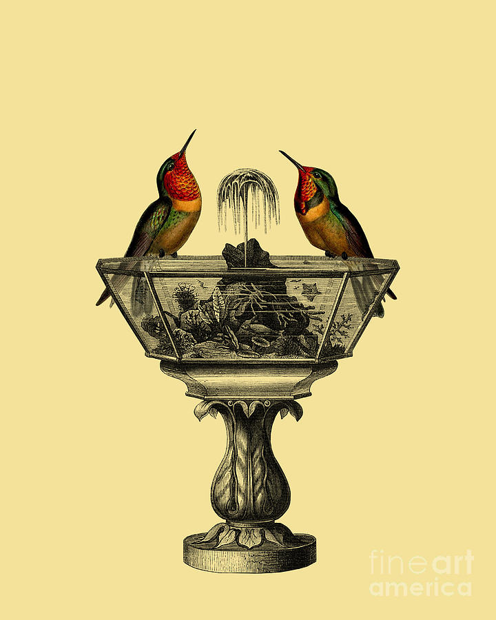 Hummingbird Digital Art - Elegant hummbirds sitting on water fountain by Madame Memento