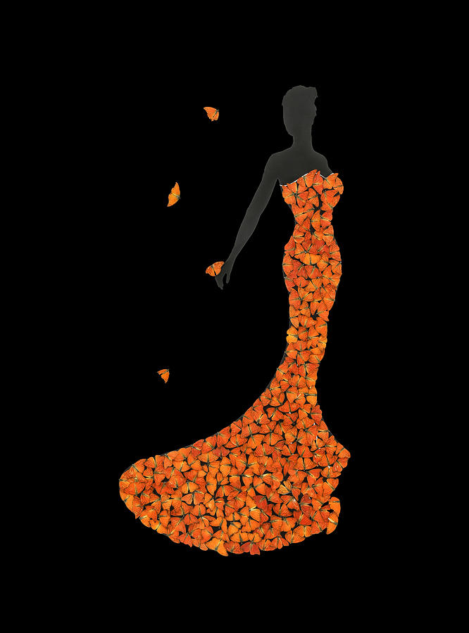 Elegant in Orange Digital Art by Scott Fulton