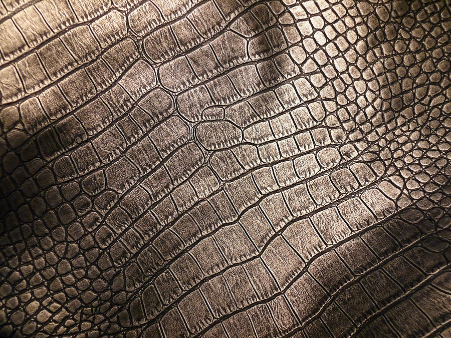 Elegant Leather Pattern Close Up. Photograph