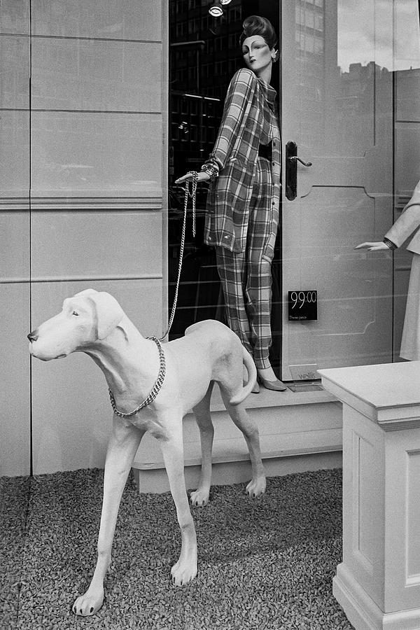 Elegant mannequin with greyhound, London Knightsbridge 1980 Photograph by Roberto Bigano