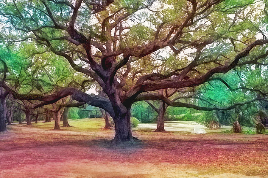 Nature Photograph - Elegant Oak by Her Arts Desire