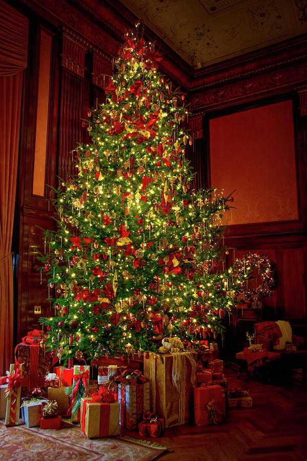 Elegant Old Fashion Christmas Tree Photograph by Kristia Adams