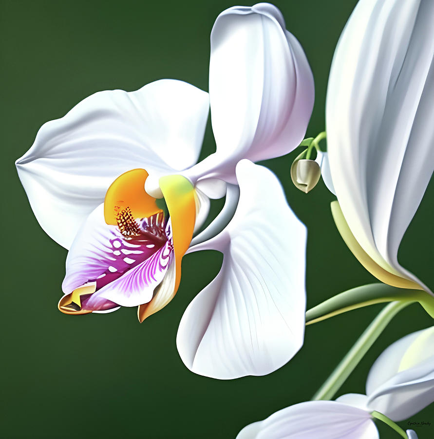 Elegant Orchid Digital Art by Cindys Creative Corner