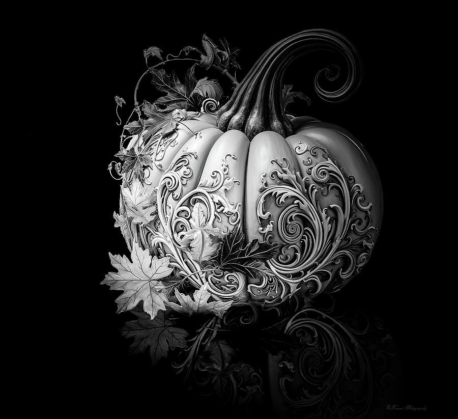 Pumpkin Digital Art - Elegant Pumpkin Black and White by Debra Forand