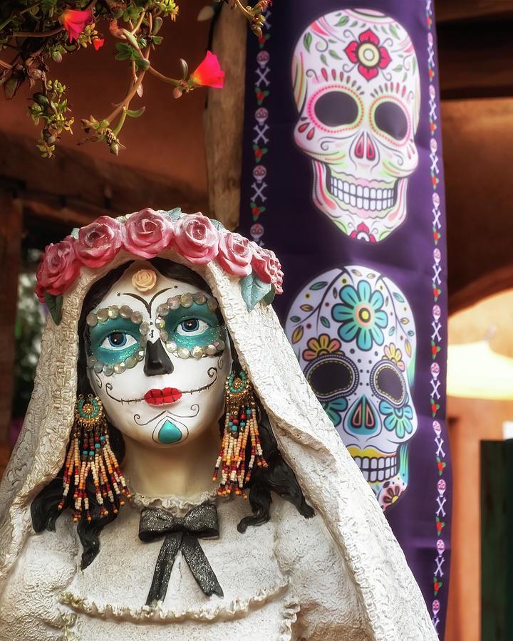 Elegant Skull - Day of the Dead Photograph by Susan Rissi Tregoning