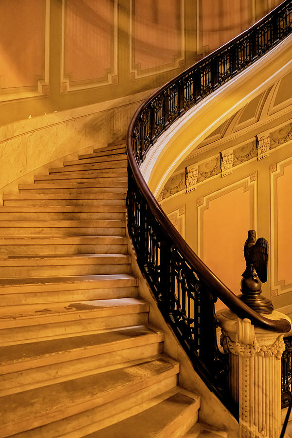 Elegant Staircase Photograph by Tom Singleton