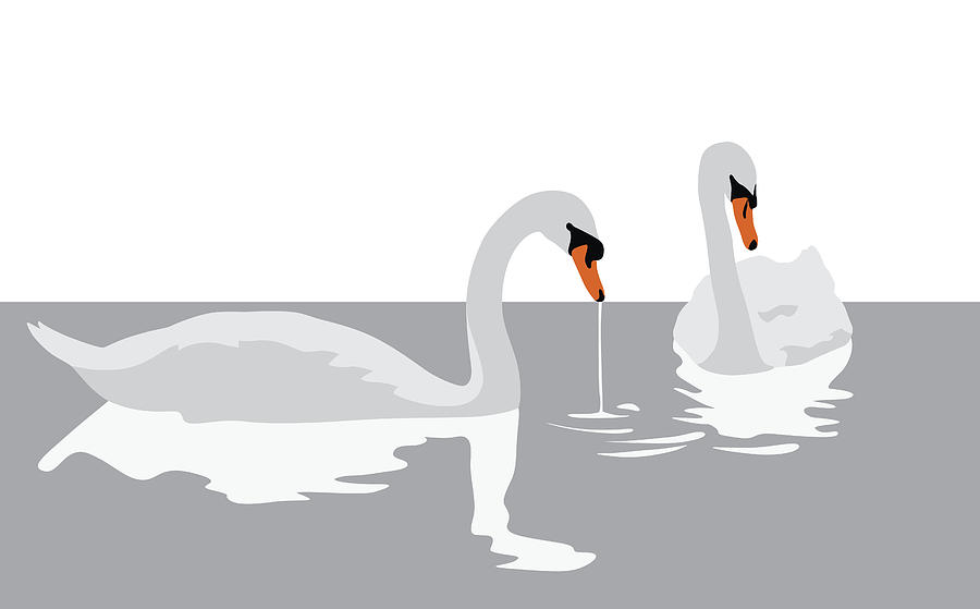 Elegant Swans Drawing by A-Digit