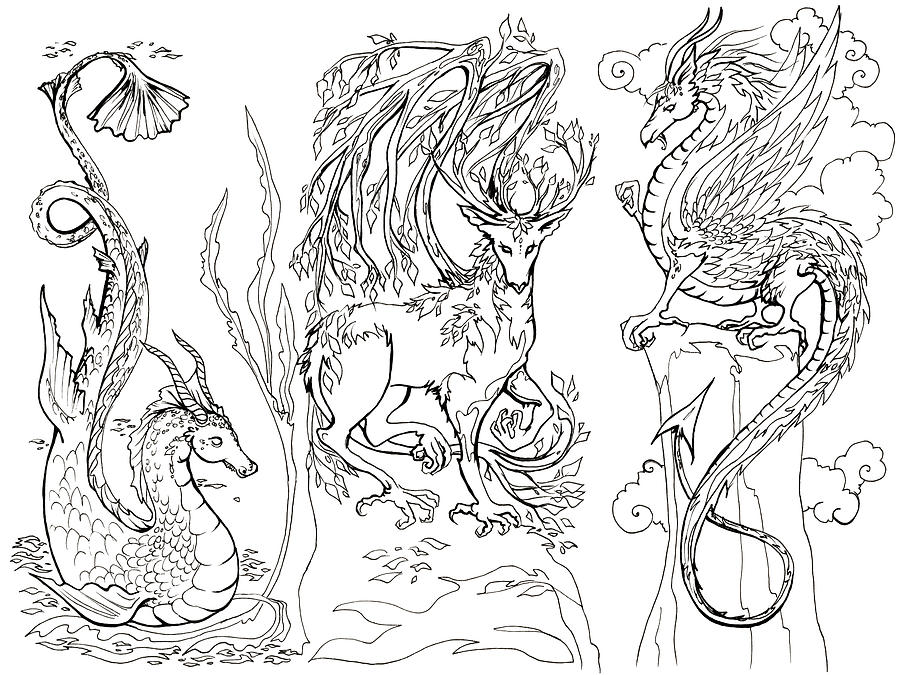Elemental Dragon Trio Drawing by Katherine Nutt