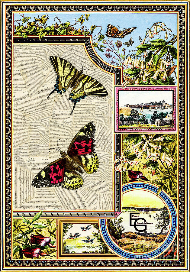 Elena Gantchikova. Musical art. Music collage with flowers and butterflies Mixed Media by Elena Gantchikova