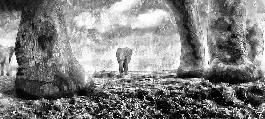 Elephant _ 3 Photograph by Jean Francois Gil