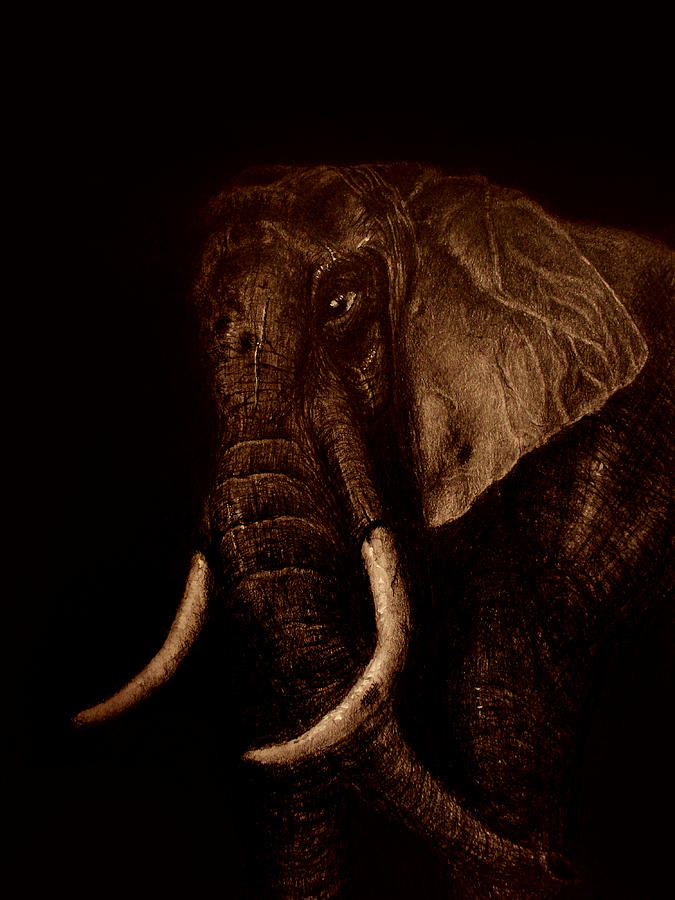Elephant 2 Mixed Media by Medea Ioseliani