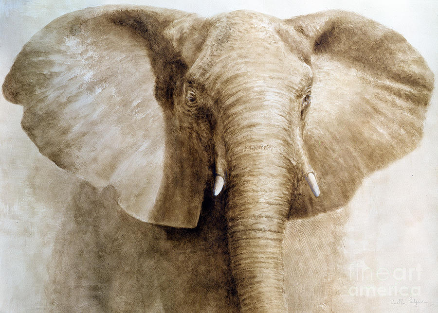 Elephant, 2004 Acrylic On Paper Painting by Lincoln Seligman